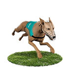 好贏娛樂城下載娛樂城白金賽狗 好贏娛樂城下載娛樂城白金賽狗